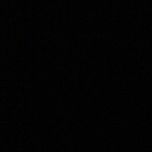 Meet your Posher, Maddie